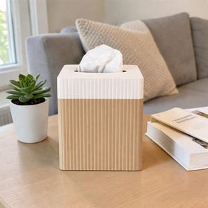 Puede incluir: Un dispensador de pañuelos de dos tonos con un diseño acanalado. La sección superior es blanca y la inferior es beige. Los pañuelos blancos son visibles en la parte superior. Una pequeña planta suculenta en maceta y una pila de libros también están sobre la mesa.