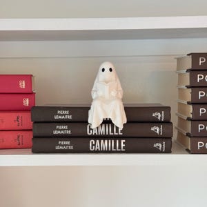 Puede incluir: Una figura de fantasma blanco leyendo un libro, posada sobre una pila de libros marr&oacute;n oscuro con el t&iacute;tulo "Camille". Los libros est&aacute;n en una estanter&iacute;a blanca, con otros libros en el fondo. La figura tiene dos ojos negros.