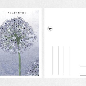 Postkarte Agapante-Blume der Bretagne, bretonische blaue Blume, Karte zum Verschenken