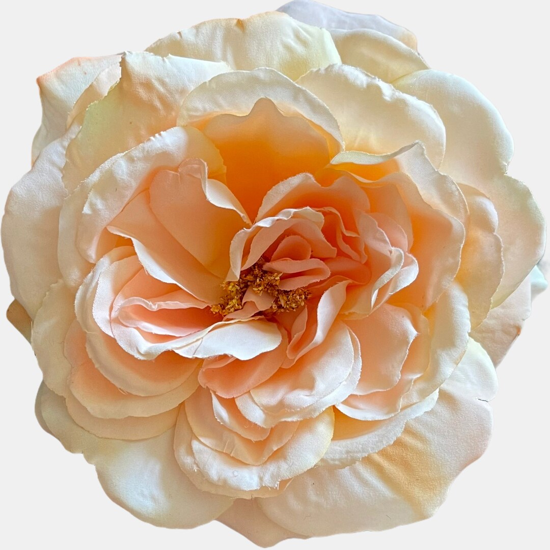 Flower Pin Hold Fabric Flower Flower Brooch Large Light Peach Soft Petal Rose Pinless