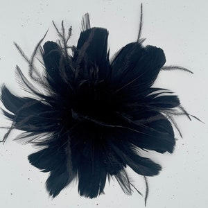 May include: A black feather boa, a fluffy and soft accessory for adding a touch of drama to any outfit.