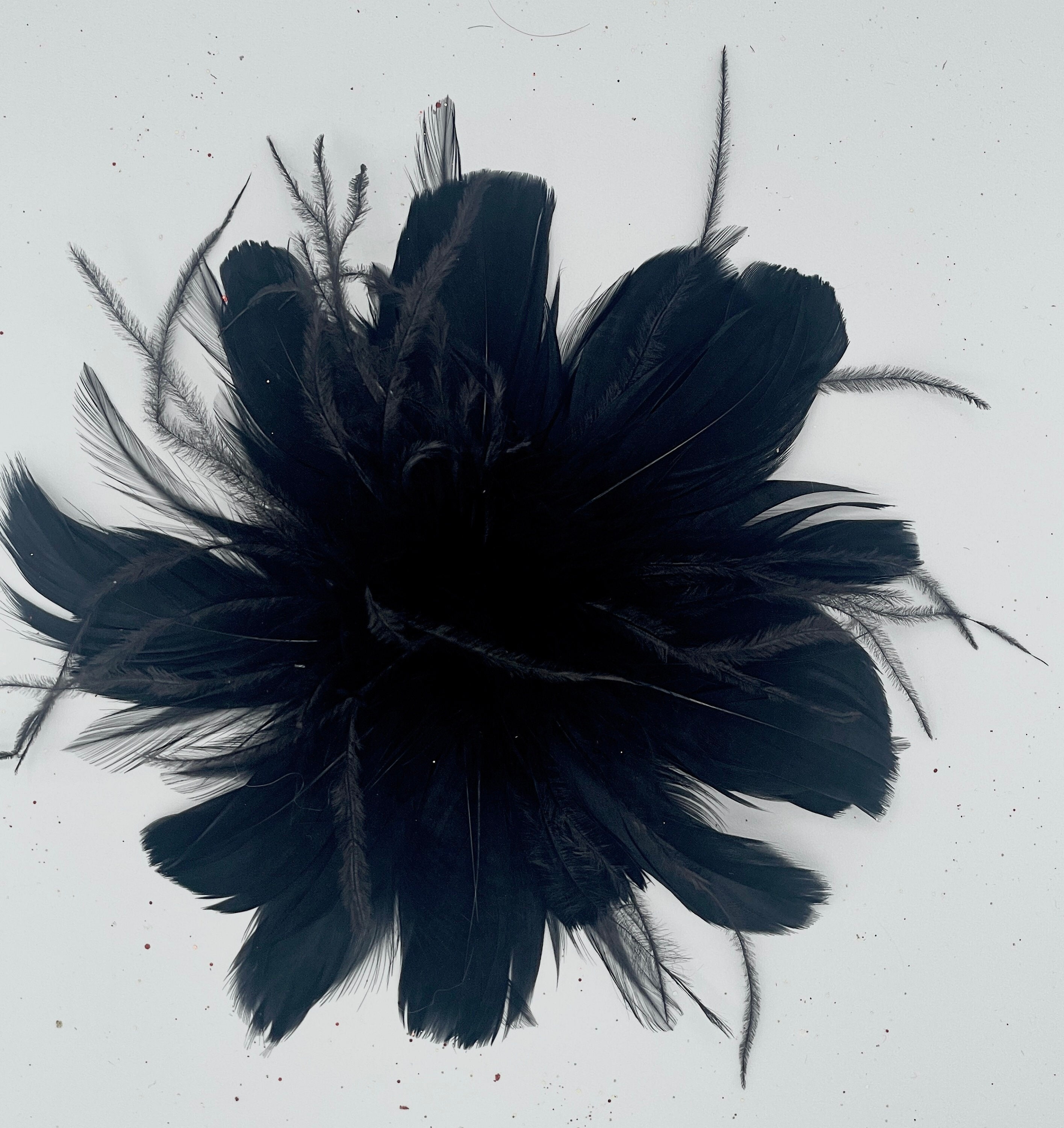 Black Feather Fascinator Hair Clip. Ostrich accent. Handmade in the USA. Feather Hair Clip - Black Ostrich Feather Fascinator  main image 3