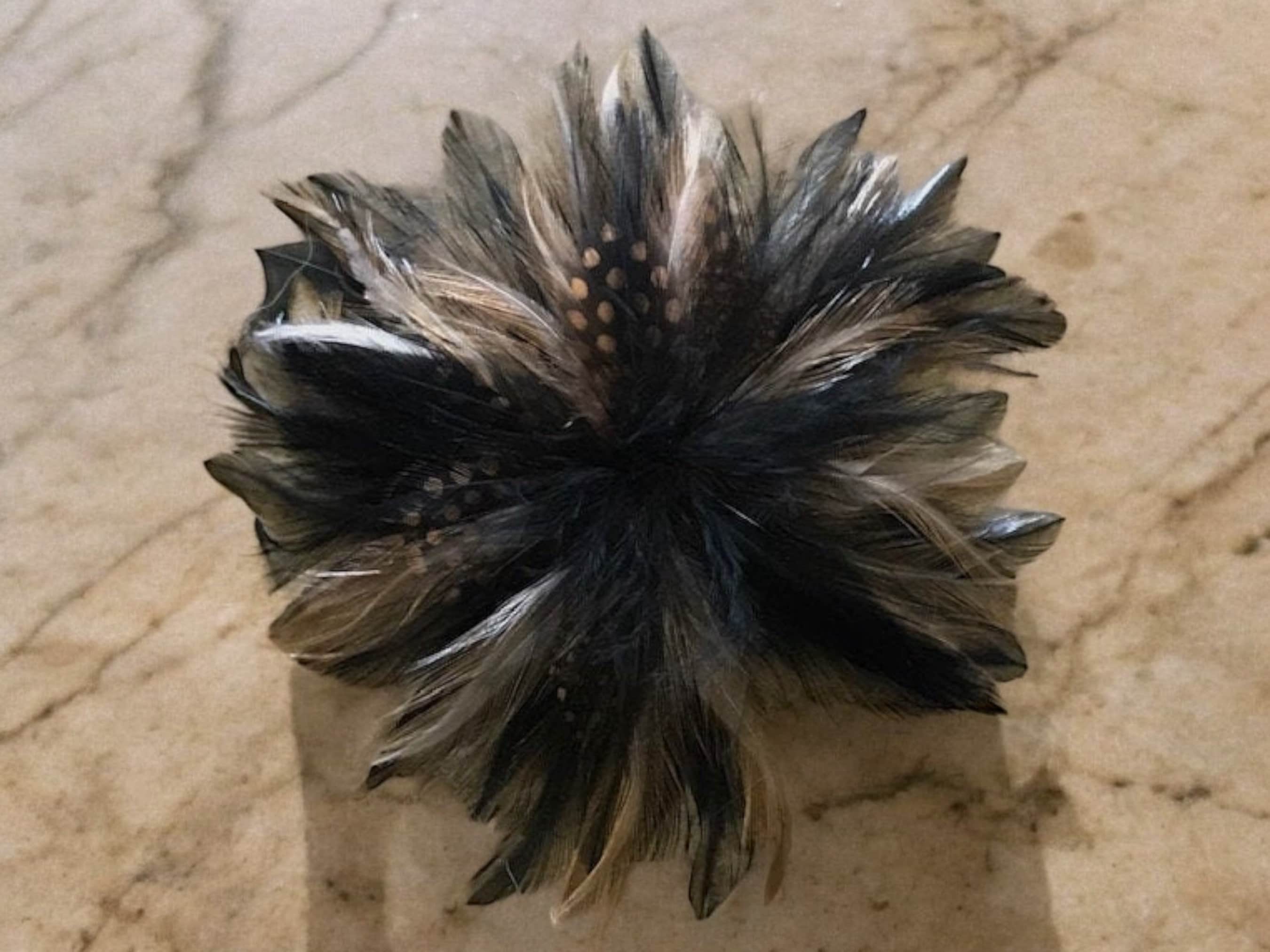 Amazon.com: Ballinger Brown Ostrich Feathers Bulk - 24pcs 10