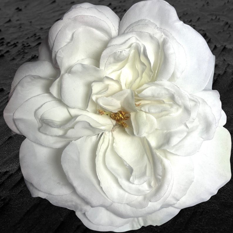 MAGNETIC HOLDpin Flower Brooch Large white Soft petal Rose Silk flower Pinless Posies image 1