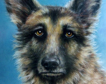SAMPLE of Fine Art, Soft Pastel, "HARRY" 16 x 20, Commission your Pet Portrait today