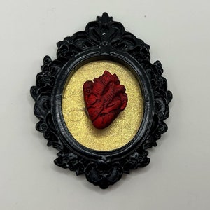 anatomical heart gothic anatomy art  framed wall sculpture
