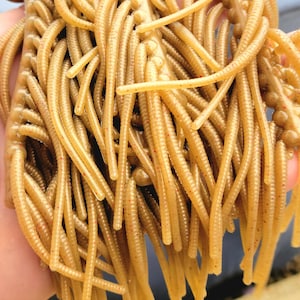 Trout worm *Penny* (20pc)
