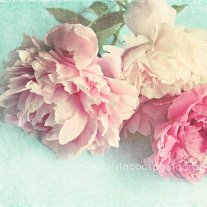 Peony photograph Like Yesterday pink peonies, fine art print, floral photography, pink, aqua,shabby chic home decor,cottage decor image 1