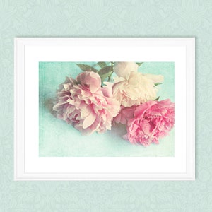 Peony photograph Like Yesterday pink peonies, fine art print, floral photography, pink, aqua,shabby chic home decor,cottage decor image 2