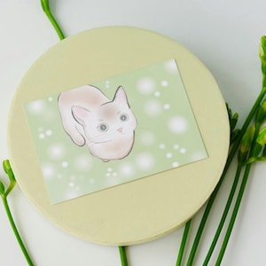 Feed Me Kitty | Cat Digital Art | Kitten Illustration | Cute Hand-Drawn Cat