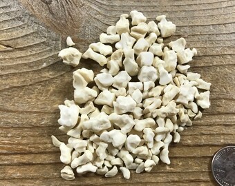 Real Bobcat Bones Grab Bag - 30 Grams - Assorted - Stock No. 1-162