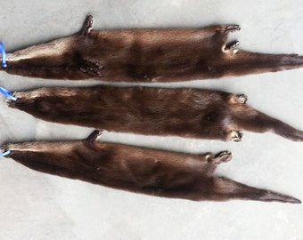 Otter Hair Ties Etsy