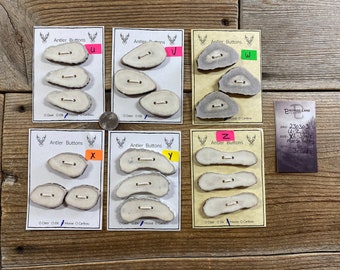 Moose Antler Buttons - Extra Large-Jumbo Buttons - Choice of Card - Lot No. BC230303 U-Z