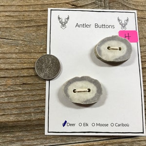 Deer Antler Buttons - Extra Large - Lot No. BC200812-H