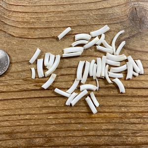 Jewlery Assortment of Domestic Rabbit Teeth - Assorted - 40+ Pieces - Lot No. 220429-WWW