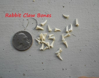 Small Rabbit Claw Bones - Real Bones - Undrilled - 40 Assorted Pieces - Stock No. 1-30