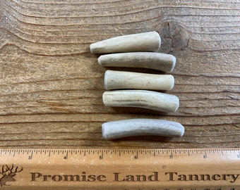 5 Deer Antler Pieces- Toggle Button Blanks - Drilled your way - Lot No. 210901-P