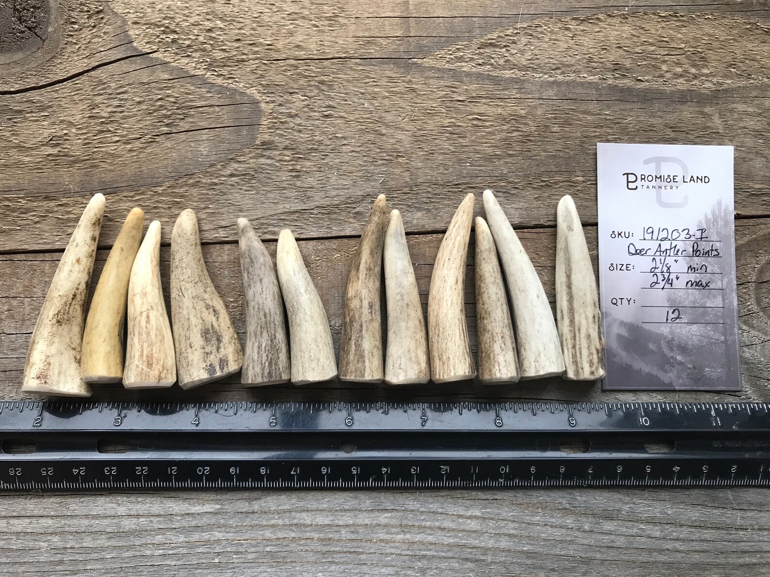 Deer Antler Points 2 1/8 to 2 3/4 Inches Drilled Your Way Etsy