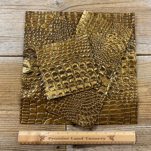 May include: Gold crocodile embossed leather pieces. The leather is textured and has a shiny finish. The pieces are arranged on a wooden surface with a ruler that reads "Promise Land Tannery".