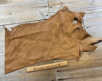 May include: A piece of brown leather with a rough texture. The leather is approximately 12 inches long and 10 inches wide. The leather has a few small holes in it. The leather is on a wooden surface. The text "Promise Land Tannery" is visible on a ruler in the image.