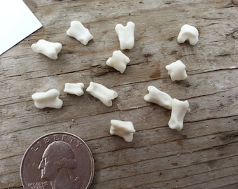 Small Armadillo Toe Bones - Real Bones - Undrilled - 15 Assorted Pieces Stock No. 1-145