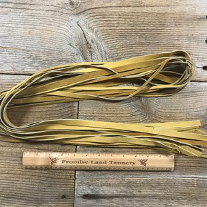 Buckskin Lace - Old Gold Cow Leather - 8 Pieces Assorted Widths - Straight Cut - Lot No. 201129-PP
