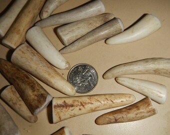 Elk Antler Tips or Points Drilled  for Pendants Etc - 10 Assorted Pieces - 1 to 4 Inches Long - Assorted