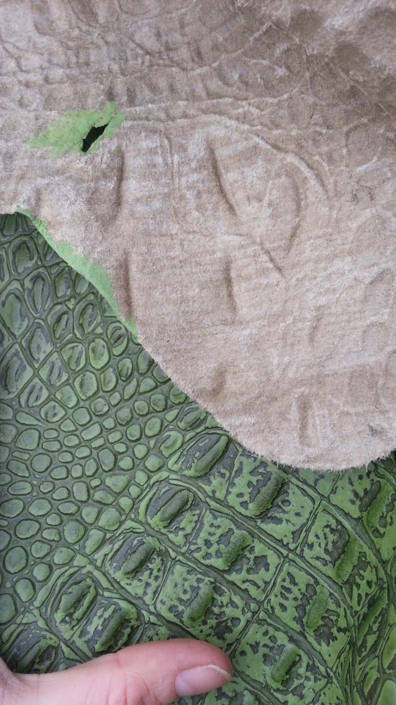 Lime Alligator Embossed Cowhide Green Dragon Scale CUT - Etsy