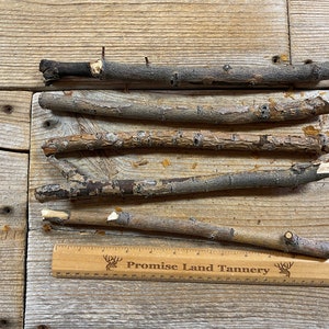 Hybrid Willow Limb Wood - Bag of 5 Pieces - Medium Diameter Twigs and Sticks - Lot No. 220130-MMM