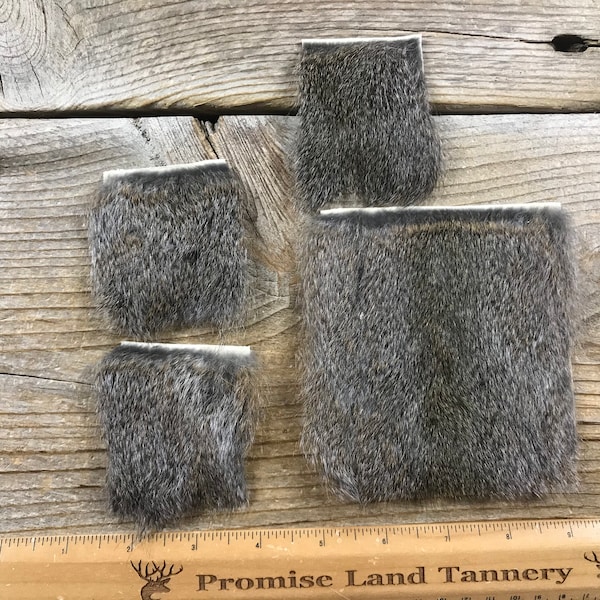 Grey Squirrel Hair On Hide Piece - Choice of Size - Stock No. FUR-84G