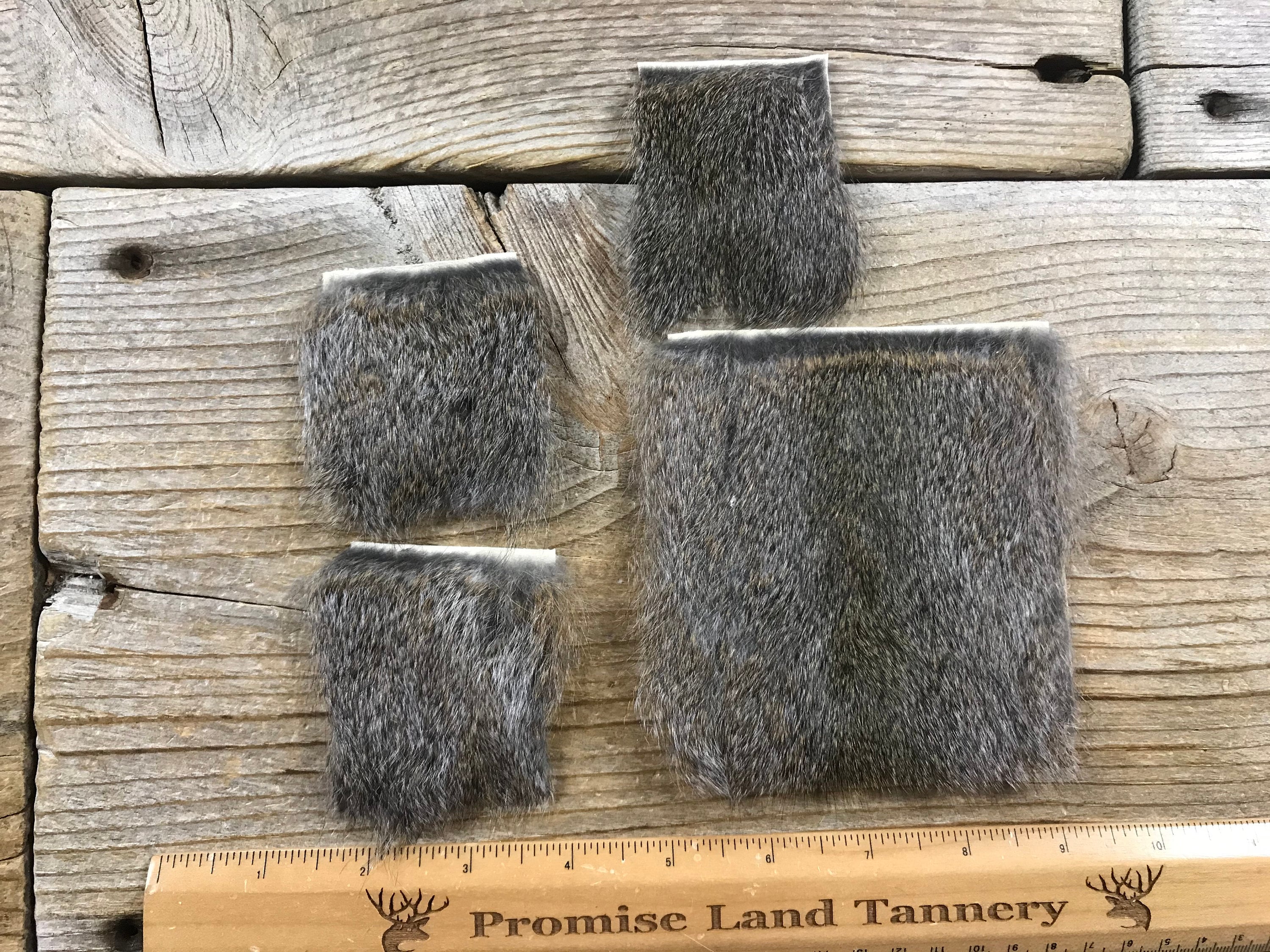 Grey Squirrel Hair On Hide Piece - Choice of Size - Stock No. FUR-84G
