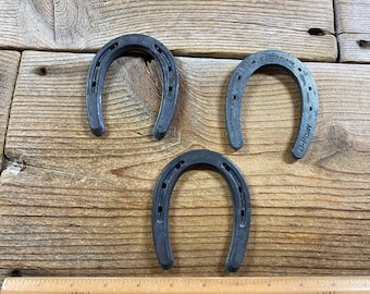 Horseshoe - Extra Small Pony Shoe - Sold Individually - Steel Hardware - Stock No. BUCKLE-38