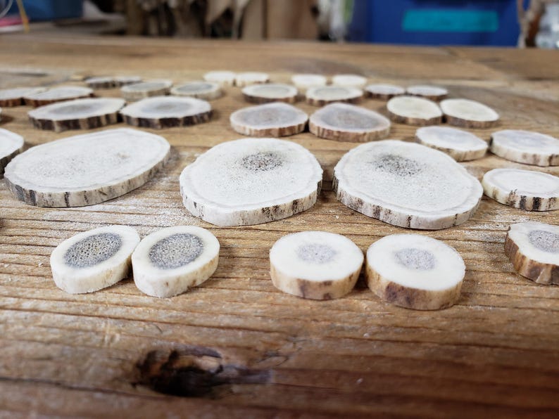 May include: Various natural antler slices, in different sizes and shapes, arranged on a wooden surface. The slices are cream-coloured with a darker, textured centre and a brown outer edge. The wood grain is visible.