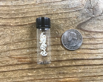 Vial Filled with Mouse Teeth - Lot No. 210128-BBB