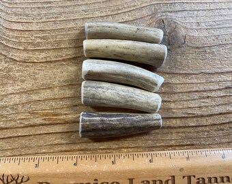 5 Deer Antler Pieces- Toggle Button Blanks - Drilled your way - Lot No. 210901-O