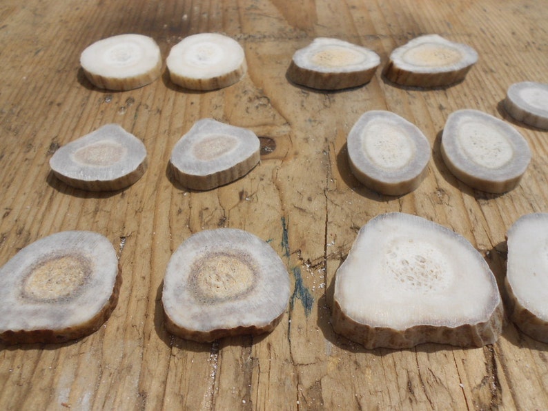Your Choice of Size and Style 10 Pairs of Deer Antler Slices