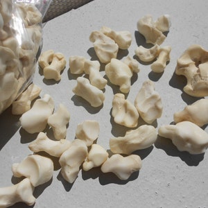 May include: A pile of off-white, irregularly shaped bone pieces. The bones are smooth and have a slightly glossy finish.