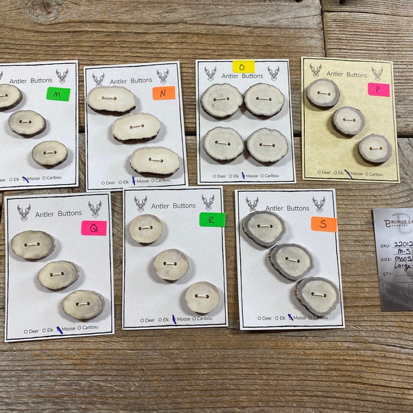 Moose Antler Buttons - Large-Extra Large Buttons - Choice of Card - Lot No. BC220126-M-S