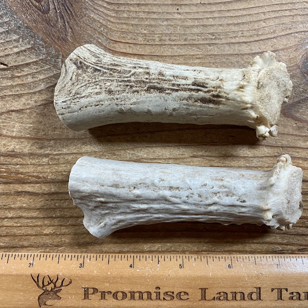 Antler Pen Blanks Etsy