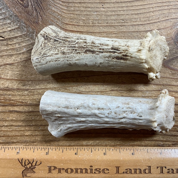 Deer Antler Pieces for Pen Turning or Lathe Work - Lot No. 221208-PPP