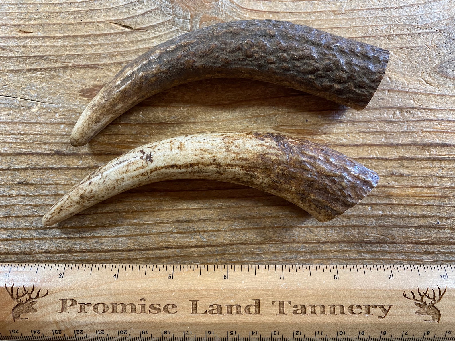 Lot of 2 Elk Antler Tines for Knife Handle Small Lot No. Etsy