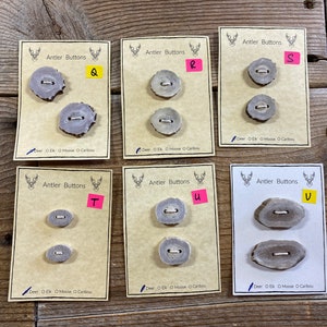 Deer Antler Buttons - Small-Extra Large - Choice of Card - Lot No. BC210913-Q to V