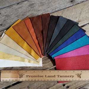 May include: A fan of leather samples in various colors, including white, yellow, orange, brown, red, teal, blue, green, black, and gray. The samples are arranged in a semi-circle with a wooden ruler at the bottom that reads "Promise Land Tannery".