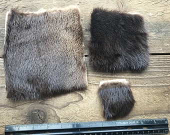 River Otter Hair on Hide Piece - Choice of Size - Stock No. FUR-74