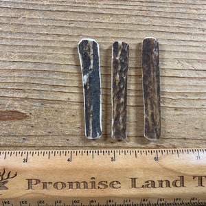 Elk Antler Pendants- Drilled Your Way- Real Elk Antler Lot No. 230827-AAA
