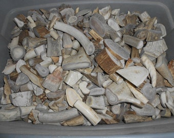 Assorted Deer Moose Elk Antler Pieces - Antler Chunks and Scraps- One Pound - Stock No. 2-100
