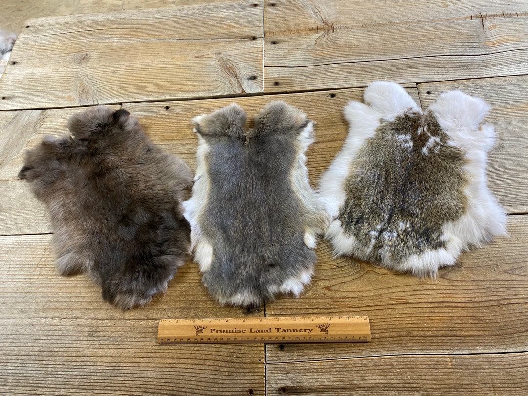 Bulk Lot of 3 Assorted Rabbit Hides - as Shown - Lot No. 220513-MMM - Etsy