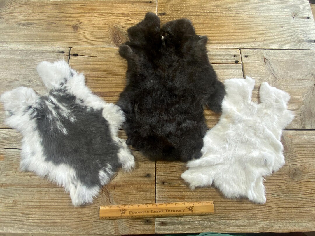 Grey Rabbit Hide Bulk Lot of 3 Assorted Craft Quality Rabbit Hides - as Shown - Lot No ...
