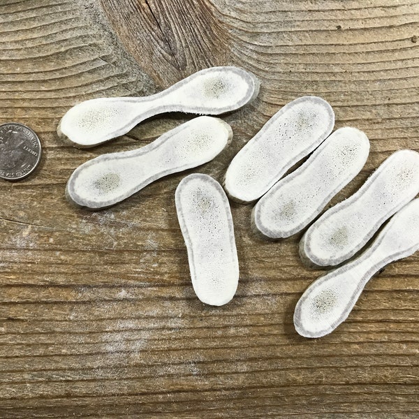 Lot of Elk Antler Slices - Matching - Jumbo - Lot No. 210107-RRR