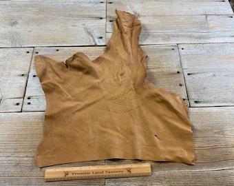 May include: A light brown leather hide with a natural grain pattern. The hide is laid flat on a wooden surface with a ruler labeled "Promise Land Tannery" at the bottom of the image.
